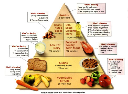 อาหาร DASH Diet อาหารลดความดันเลือด ป้องกันความดันโลหิต
